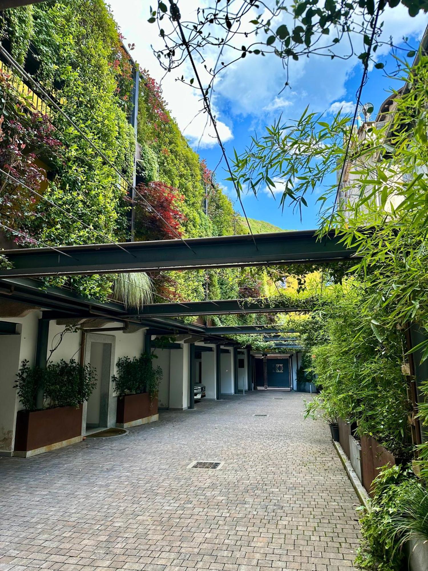Residence Casa Coppa Appartamento Maple Omegna Exterior foto